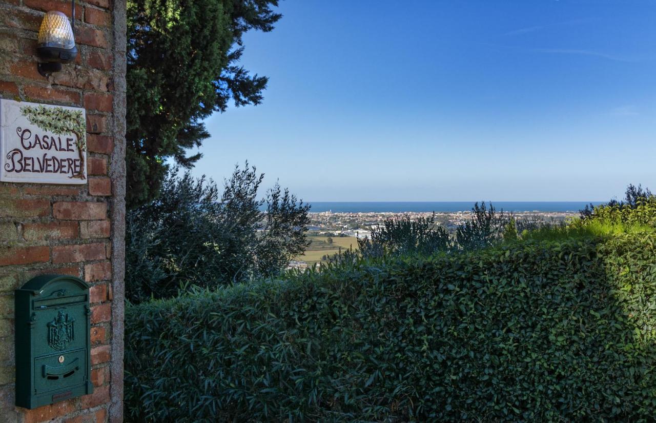 Casale Belvedere "Il Melograno" Massarosa Luaran gambar