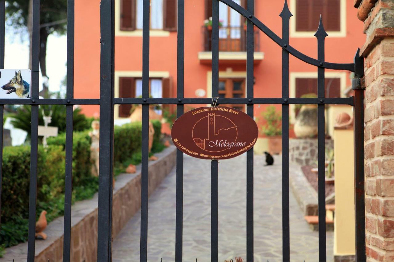 Casale Belvedere "Il Melograno" Massarosa Luaran gambar